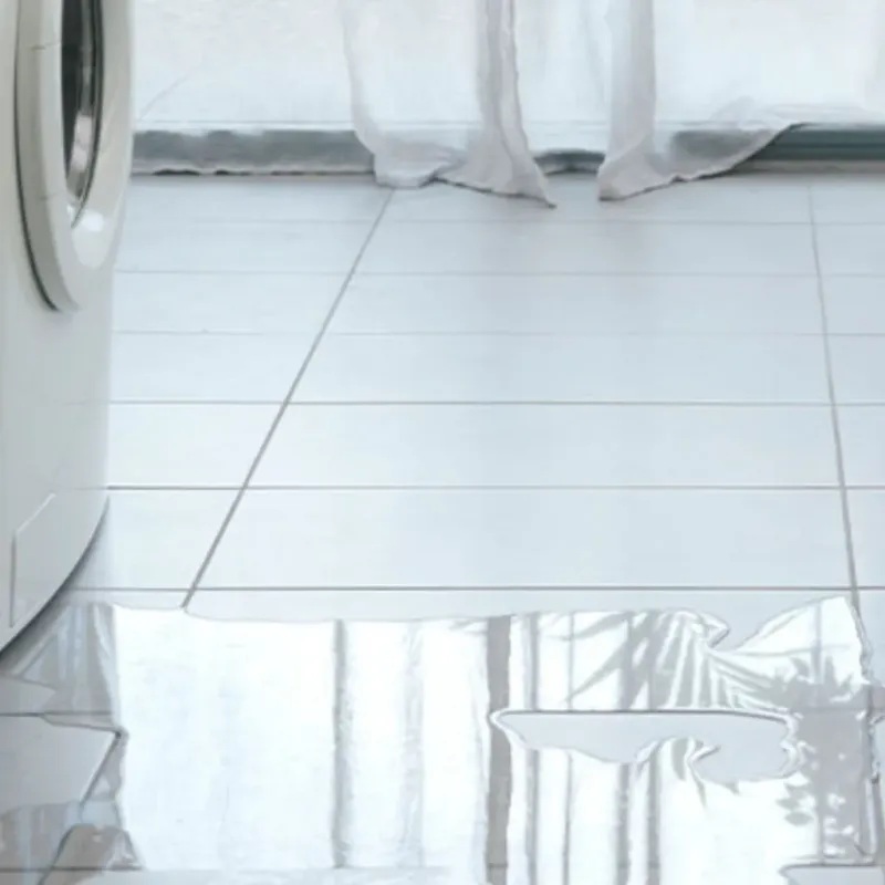 Appliance Leak Cleanup in Wolf Lake, MI