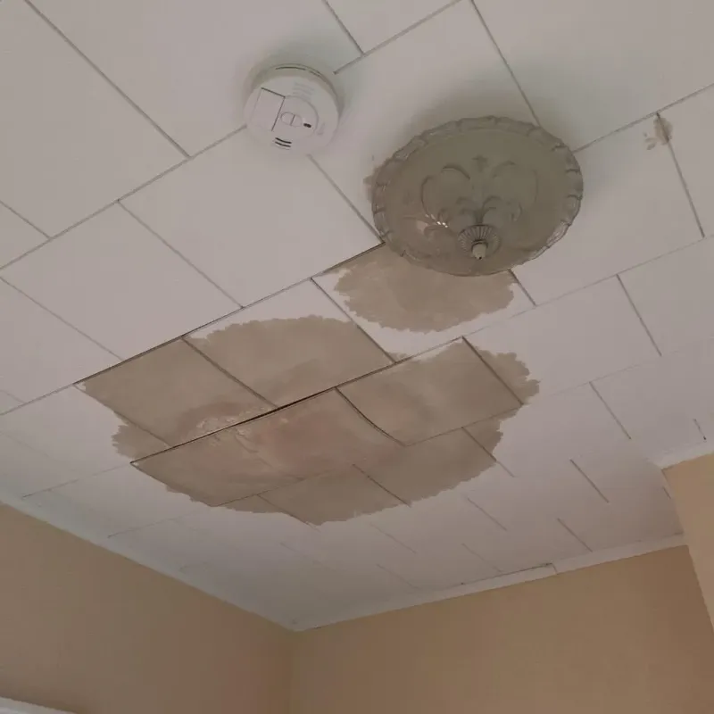 Ceiling Water Damage Repair in Wolf Lake, MI