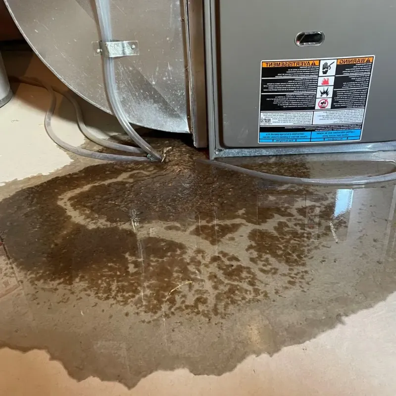 Pipe Burst and Leak Restoration in Wolf Lake, MI