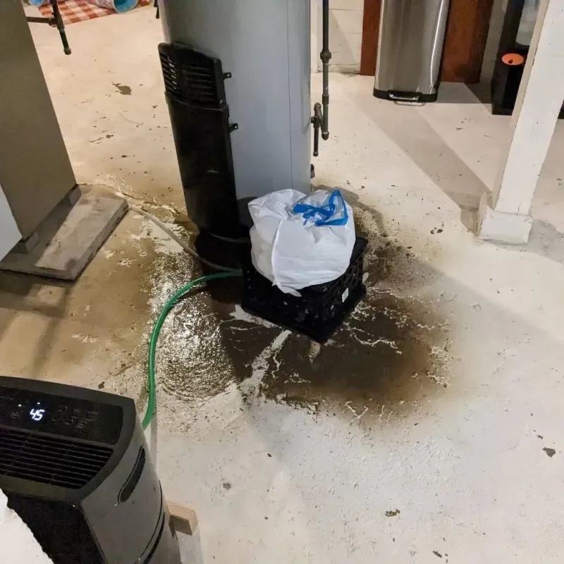 Sewage Backup Cleanup Service in Wolf Lake, MI